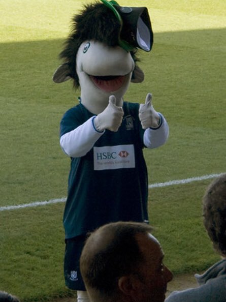 clarkliam04's tweet photo. Things haven’t been the same since he left, only one man for the job...#BringBackElvis 💙⚽️ @SUFCRootsHall @OfficialTBV @SUFCCommunity @SUFCTheBlues #Shrimpers https://t.co/L2aUlZu5sk