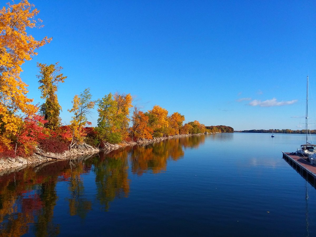 VermontRailfan's tweet photo. Fall colors along the abandoned Rutland Railroad Island Line 
.
.
#fall #FallFoliage #leaf #leafpeeping #rutlandrailroad #islandline #northhero #northherovt #Vermont #VT #northheromarina #Autumn #fall #VT @Only_in_Vermont @vermontlike @TheIslanderNews https://t.co/NfzioZAQhd