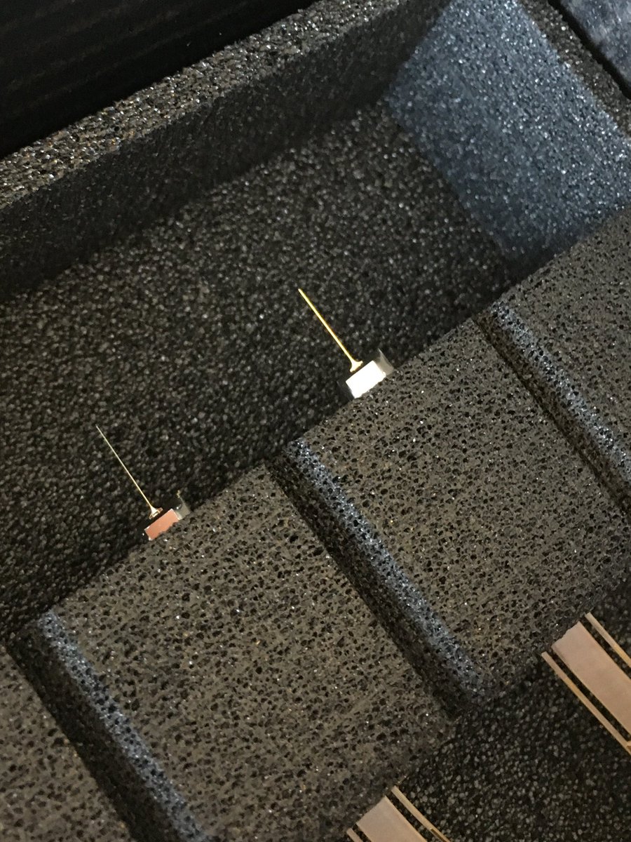 a_neurophile's tweet photo. Welcome, my pretties! I have big plans for you! 👩‍🔬😁🥳#neuroscience #highdensityelectrophysiology #HernanLab #ECDGroup https://t.co/W35Gz2hBzP