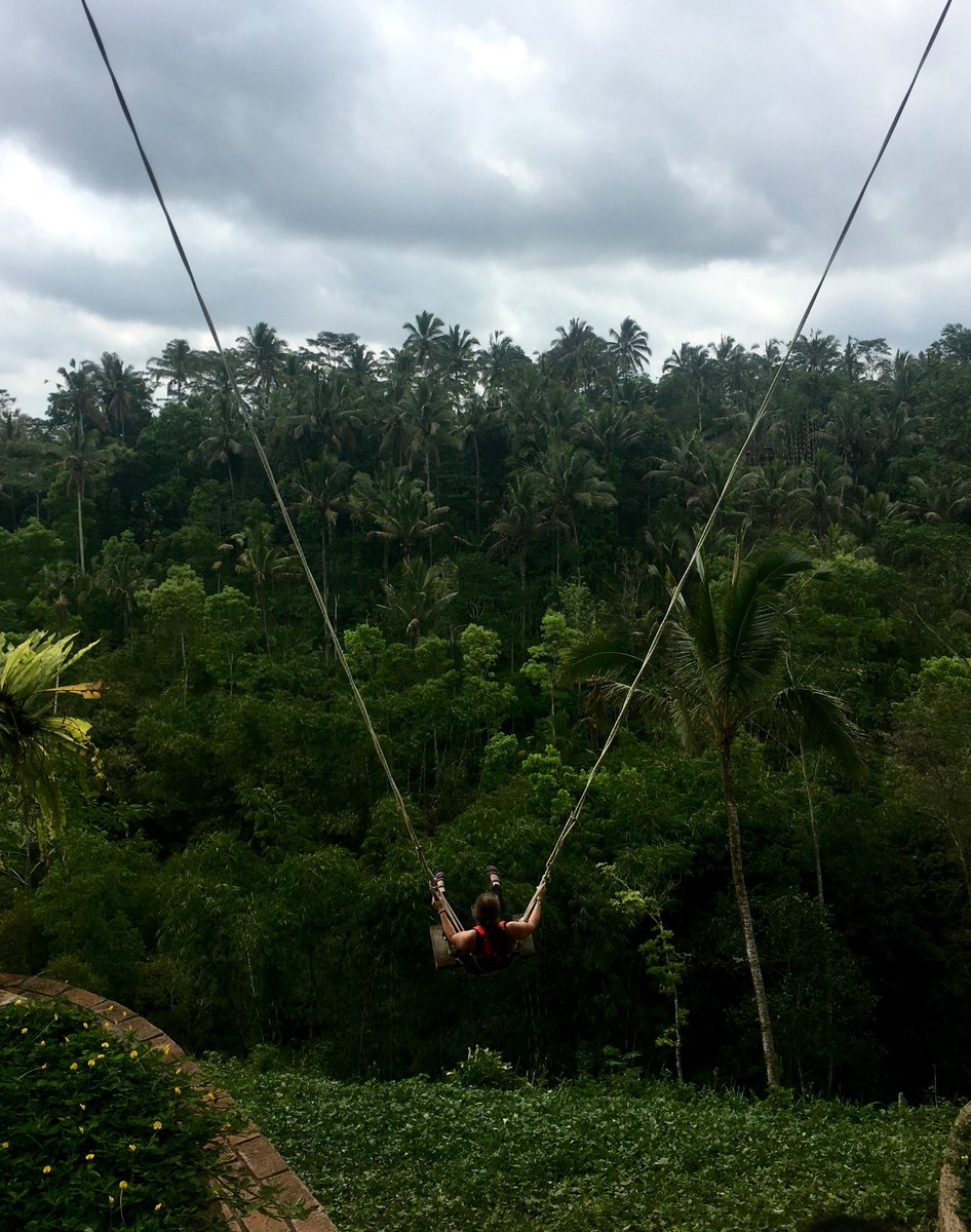 USF_Abroad's tweet photo. 👋Welcome back from Fall Break!🍁 We hope it was restful 💤 (though maybe not as great as this swing in Bali...)🌴 https://t.co/VsBL2d83u5