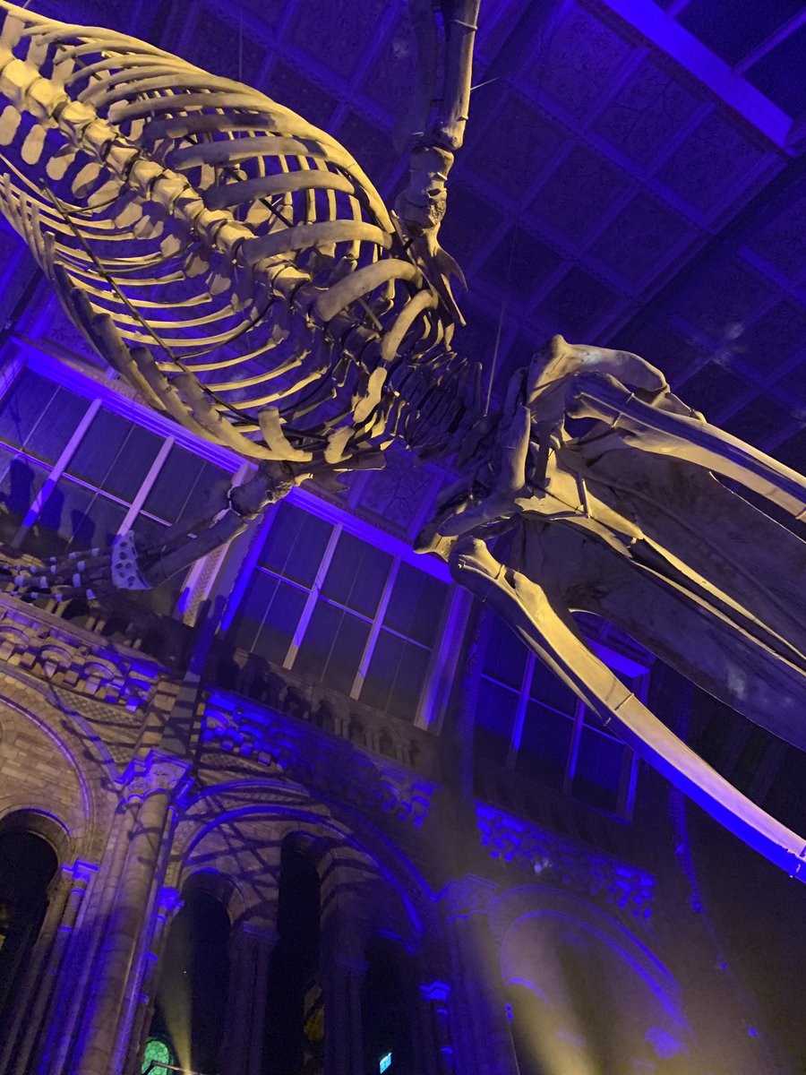 Fantastic night so far #enexawards  Table 12