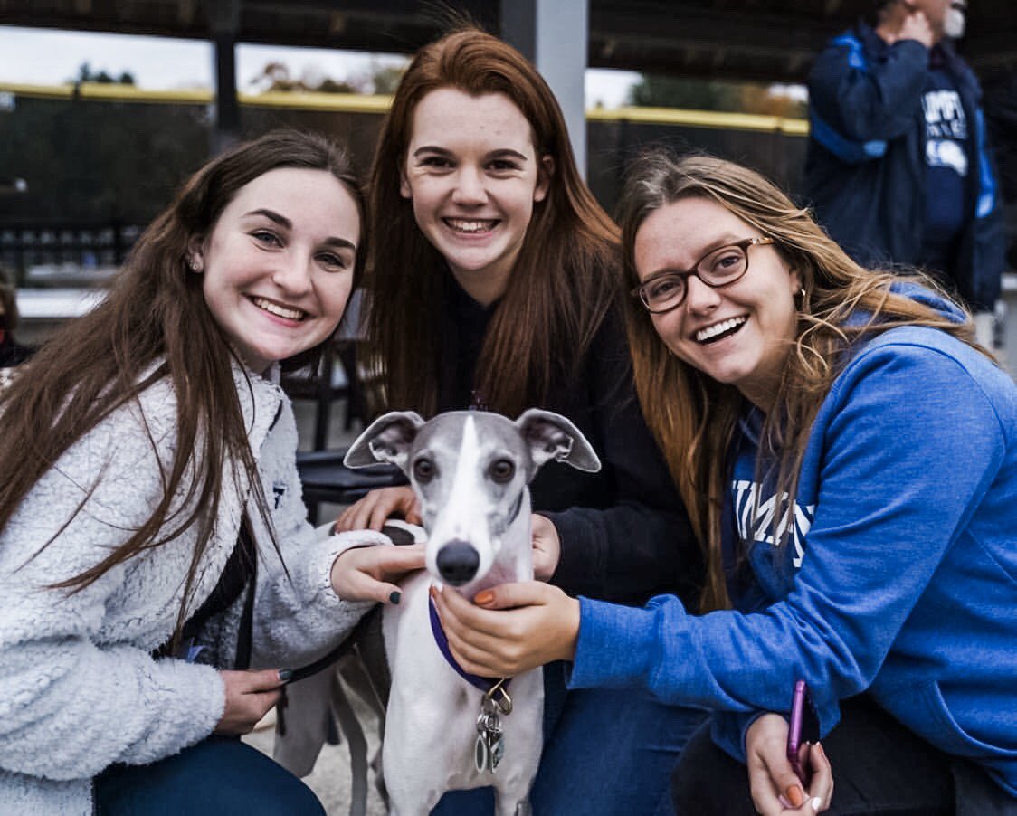 AssumptionUMA's tweet photo. 🐾 When #greyhounds come to campus. #HoundNation #PierreinRealLife https://t.co/hFNVPakKMq