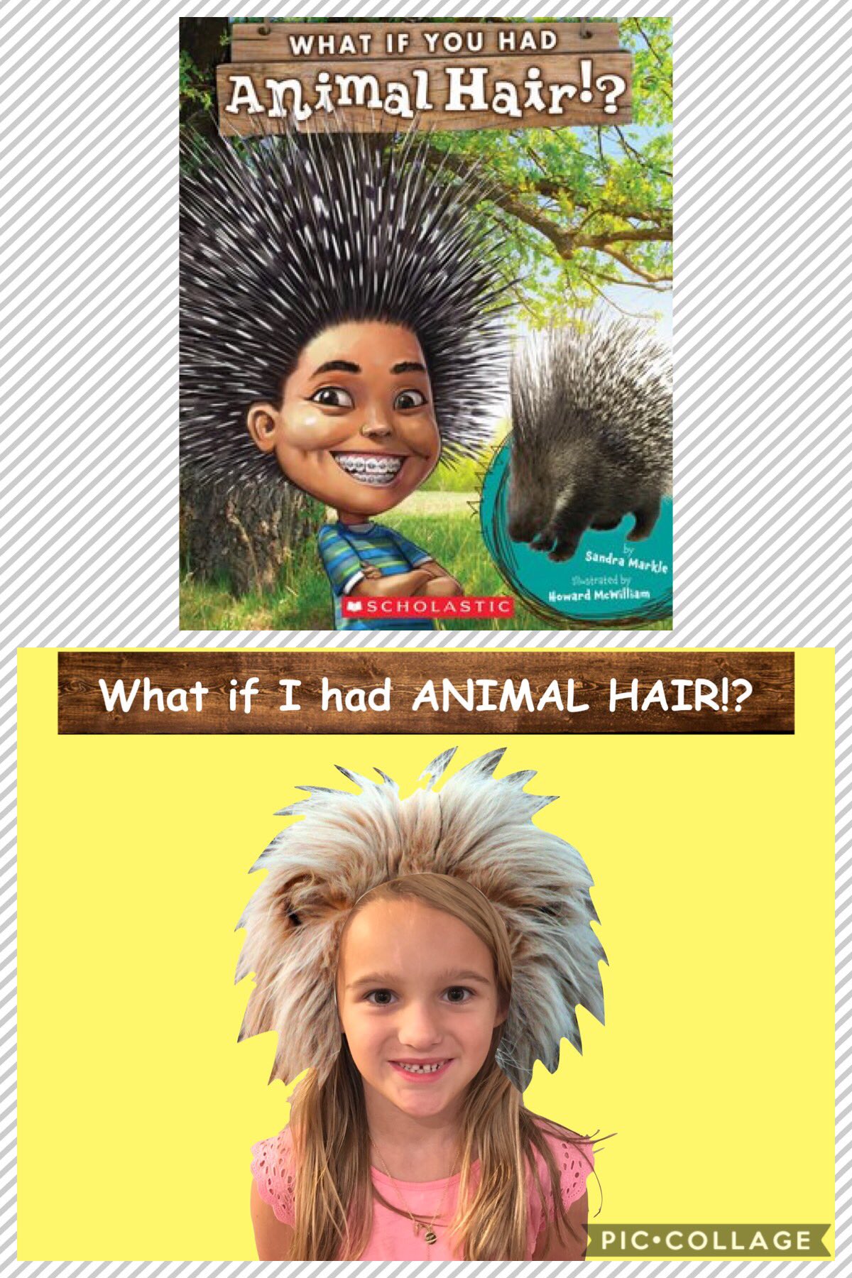 Top 107 + Animal hair book