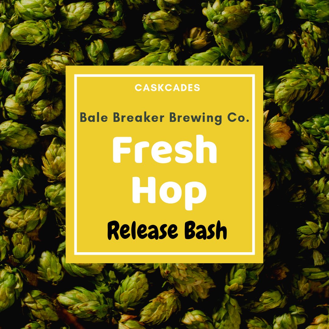 Our Bale Breaker Brewing Company Fresh Hop Release Bash is tomorrow night from 6-9pm featuring Piled High Imperial Fresh Hop, Citra Slicker Wet Hop IPA and Barrel Aged Topcutter!