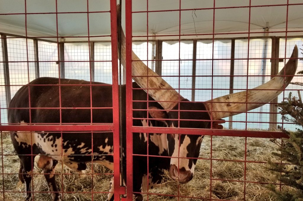 Cgshort Try The Meatloaf And Don T Let Your Meat Loaf I Ll Be Here All Week