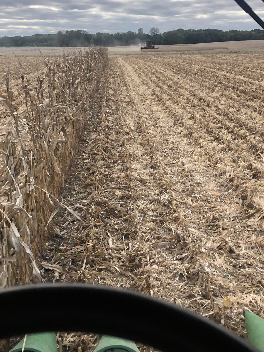 Top 10 most embarrassing things for me as a farmer: shelling 1 row for 1/4 of a mile in front of the neighbor cutting beans.