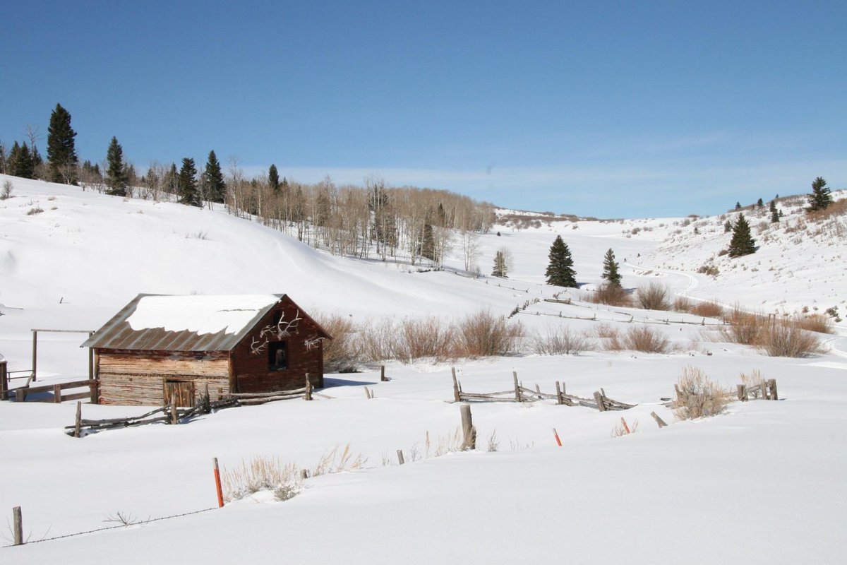 farmandranchpub's tweet photo. #ShowcaseProperty #FeaturedProperty #WestWednesdays
X Quarter Circle Bar Ranch - 2,175 Acres
Montrose, CO
https://t.co/JFaY5v1Ptf
#Colorado #farmandranch #acreage #hunting #fishing https://t.co/YHCkHQ5bbH