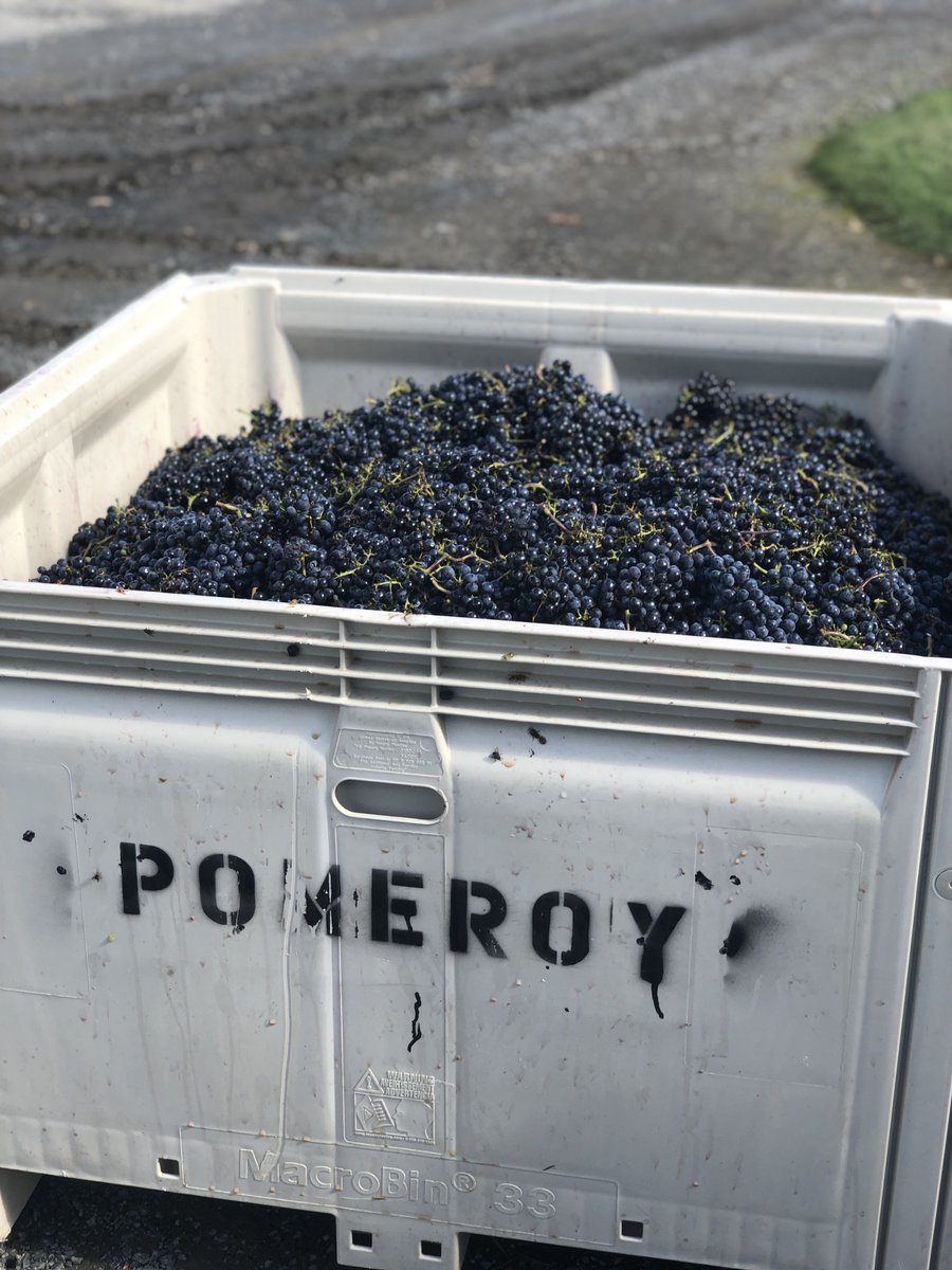Pomeroy_Cellars's tweet photo. We're crushing 4th Quarter! - https://t.co/aDnNcPxOB0 https://t.co/tK25Q3mtCA