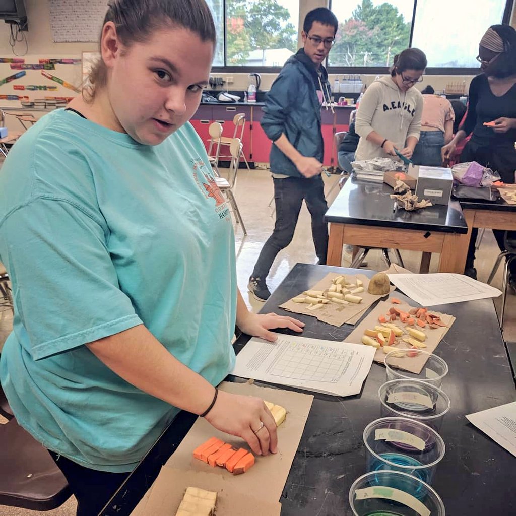 coulsonscience's tweet photo. After we conquered the concept of cell size we moved on to osmosis and  diffusion using potatoes, sweet potatoes, and apples to demonstrate different rates of movement. Proud of the effort my kiddos put in to their class! #osmosisanddiffusion #APBiolife #APBiolab #coulsonscience https://t.co/zBEYHlJzAA