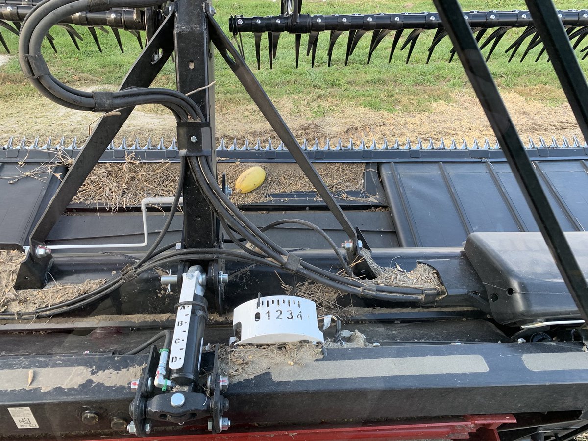 Scott Burroughs tweet media