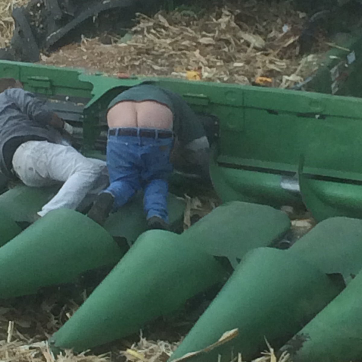 This year has drawn out so long I don’t know if this is the harvest moon or the crack of dawn.
