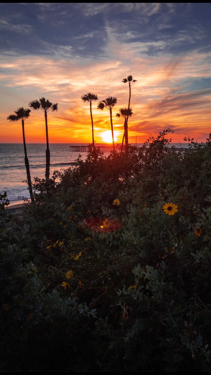 Below the horizon
.
.
.
.
#skyporn #sunsetsniper #skylovers #sunrise_and_sunsets #sunsets #sunsetlovers #instasunsets #surf #sanclemente #socal #pizzaport #california #sunset #beach #clouds #sky #twilightscapes  #orangecounty #sandiego #shotoniphone #losangeles  #sanclementepier