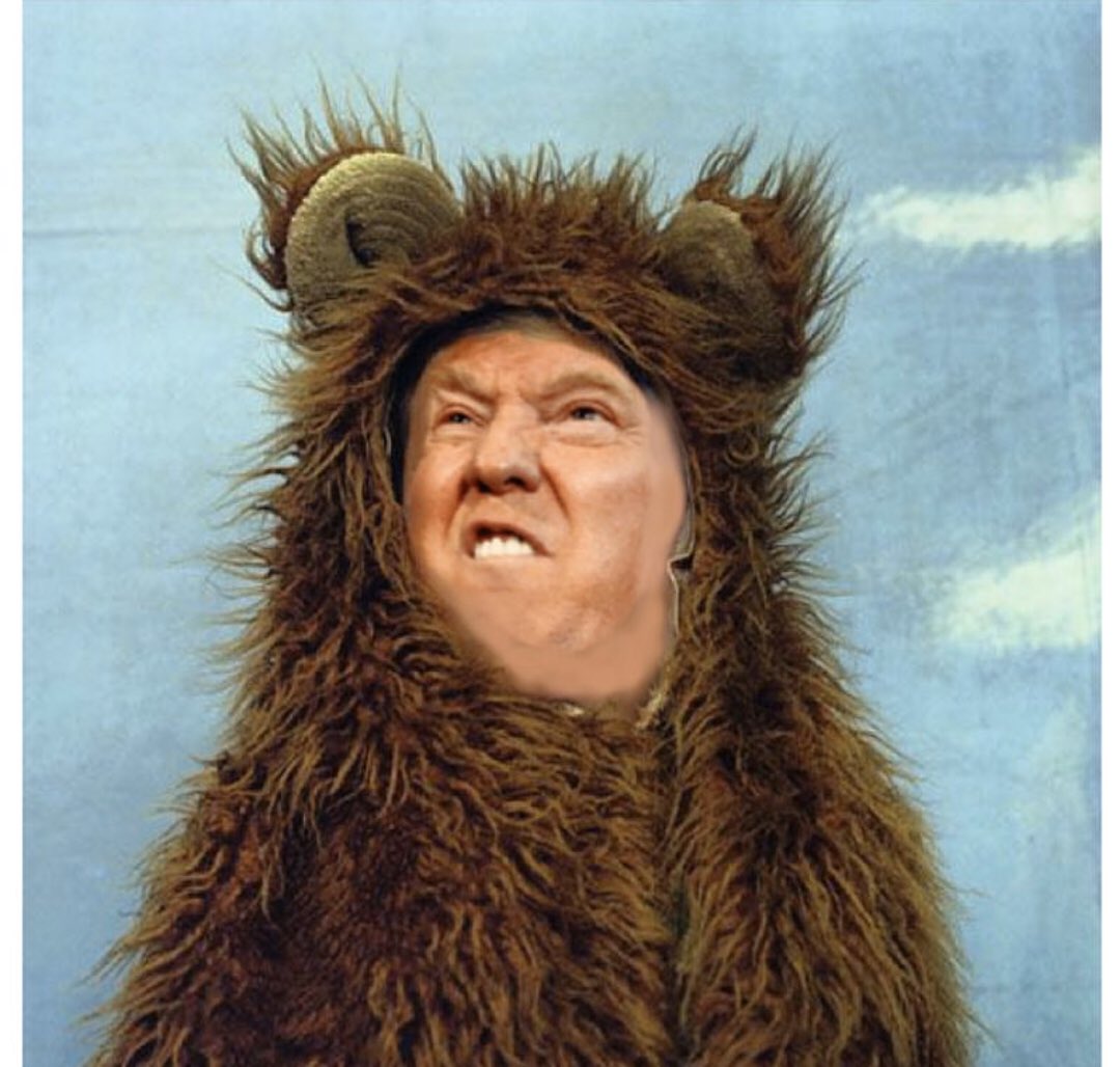 dunlarsez's tweet photo. @realDonaldTrump https://t.co/MXaTgOTy34