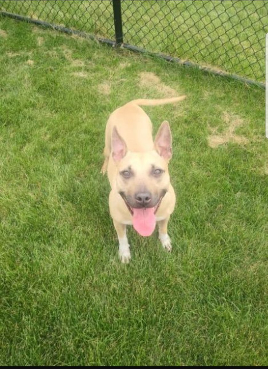 HumaneJefferson tweet picture