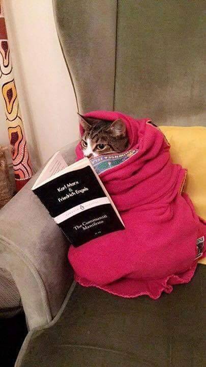 some light reading