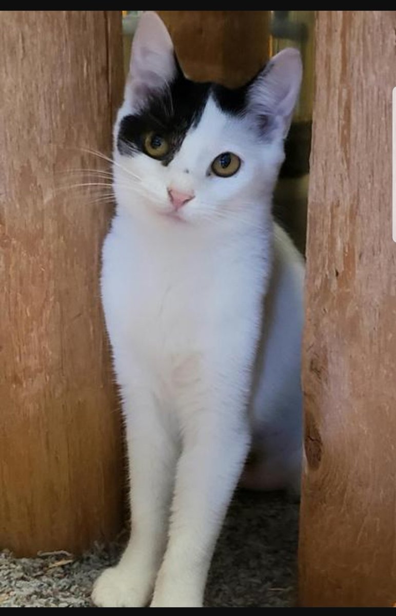 HumaneJefferson tweet picture
