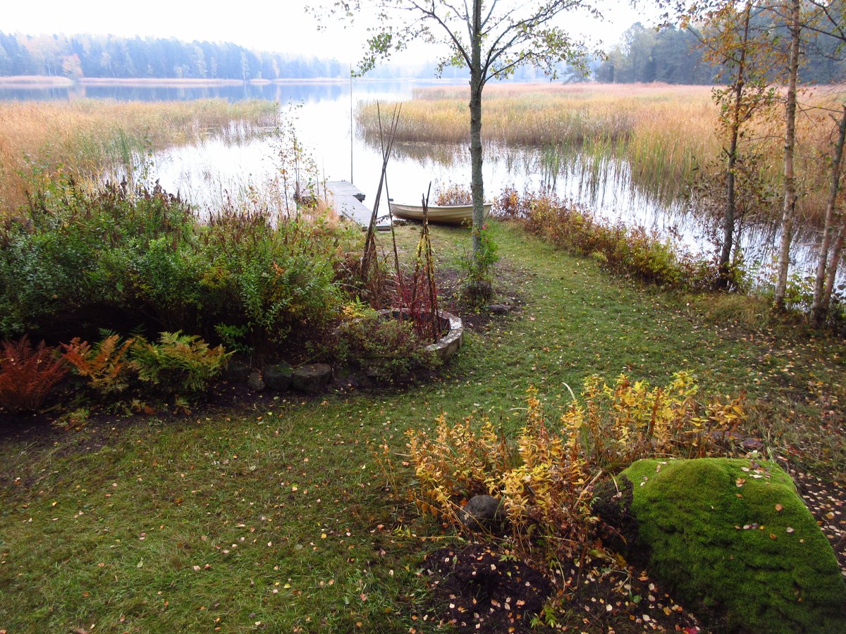 NittaLinds's tweet photo. Kesämökkielämää / Summer cottage life 🍁 🍂 🐦🧡
Kotka, Finland, 3.-11.10.2019
#Ruska #AutumnLeafColor #Kesämökki #SummerCottage #Punarinta #Robin
#Syksy #Autumn #Lokakuu #October #Luonto #Nature #Kotka #Finland https://t.co/jtFoyZj5G1