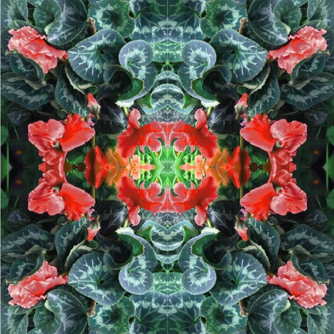 ATU_Fashion's tweet photo. #Repost from @maireadarthurdesigns Yr3 - with an eye for contemporary print 🌺and the most amazing #fashionillustration #talenteddesigner #printdesigner #workinprogress #lyitdesign #lyit https://t.co/SB7NitFGmH