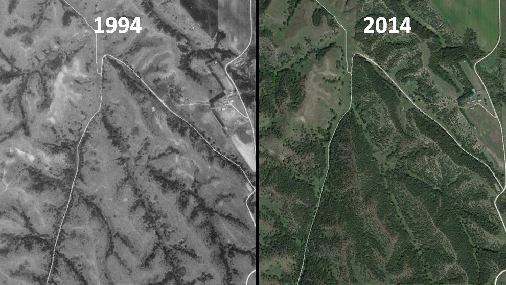Nebraska Prescribed Fire Council tweet media