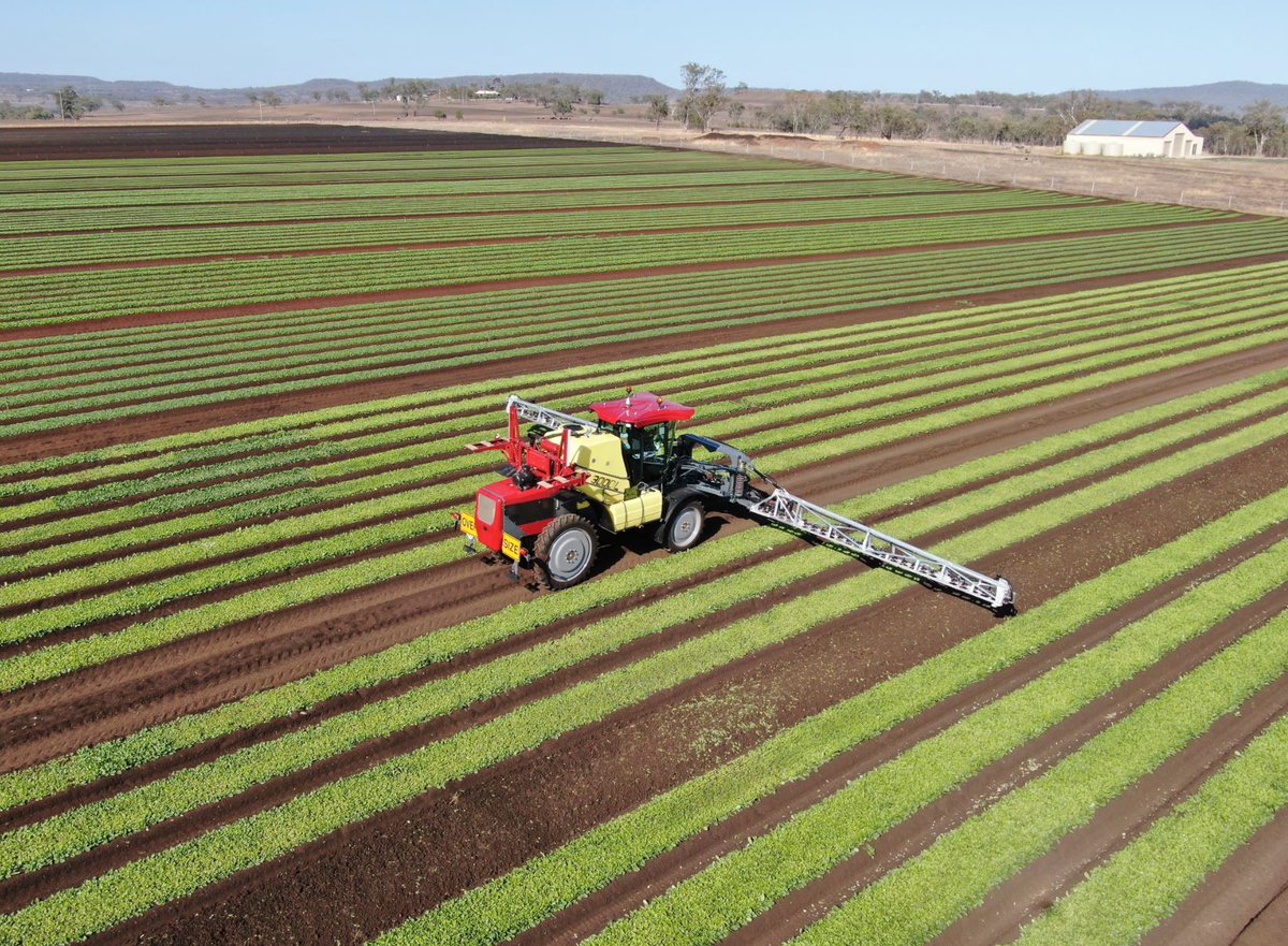 HARDI_Australia's tweet photo. Lettuce anyone?? π₯πThe super leightweight 3000-litre #HardiHellios is ideal for soft soil and tricky terrain. That's why more and more Australian vegetable growers choose this machine for their operations.
Story Fresh, Cambooya, Qld.
#HardiWorksHere #HardiSprayers #OzFarming https://t.co/sofqGMV7pZ