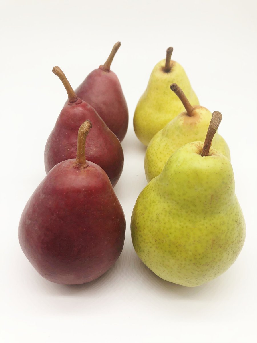 BridgesProduce's tweet image. Fall and #Oregon grown #pears go hand in hand! Did you know Oregon produces about 800 million pears annually, nearly 300 pears per Oregonian! #organic