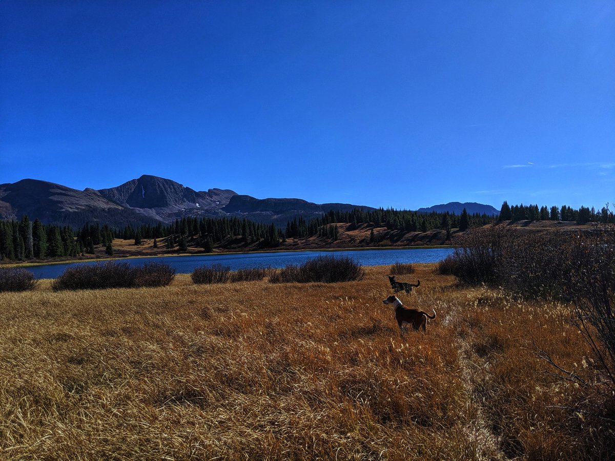 Trixie_Charlie's tweet photo. Hanging out in #Colorado today. #hiking  #OptOutside #hikingwithdogs #adventure #DogsofTwitter #dogs @dogcelebration https://t.co/pJTfKxgfzq
