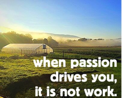 candybraith's tweet photo. Have a passion for journalism and agriculture? Come and be a part of NewsCorp Rural's @Ruralweekly newspaper, Australia's largest circulating rural newspaper. We are on the hunt for a journalist to be based in southwest Queensland. Email me candyce.braithwaite@ruralweekly.com.au. https://t.co/ubjLRRUoKB