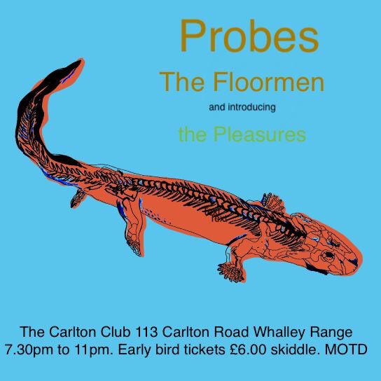 Liverpool freaks <a href="/TheProbes/">PROBES</a> &amp; <a href="/thefloormenhq/">The Floormen</a> will play @CarltonClubInfo December 11th starts at 7.30 -