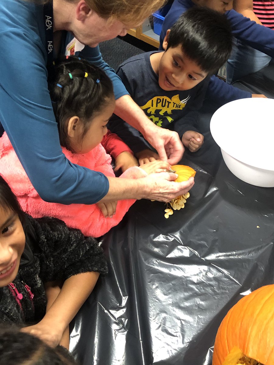 reachforreading's tweet photo. Reading a Nonfiction pumpkin book and singing a pumpkin song! And we got to touch the inside of a pumpkin! @longbranch_es @marthamp268 @LionPrideVPI https://t.co/ujhjtD3Wqq