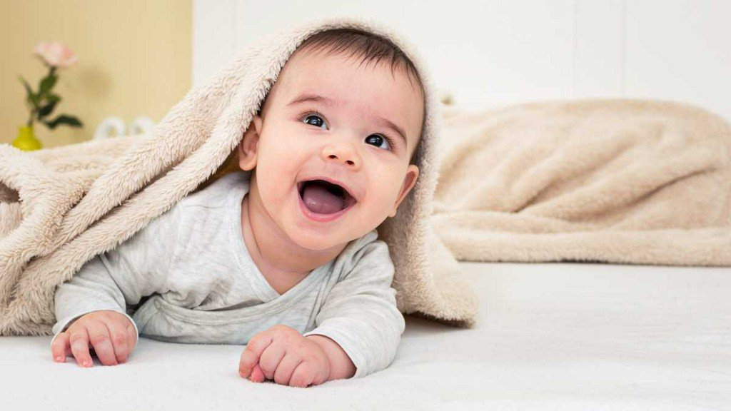 WCVB-TV Boston tweet media