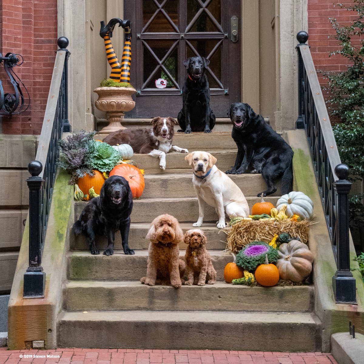 Steven Watson tweet media