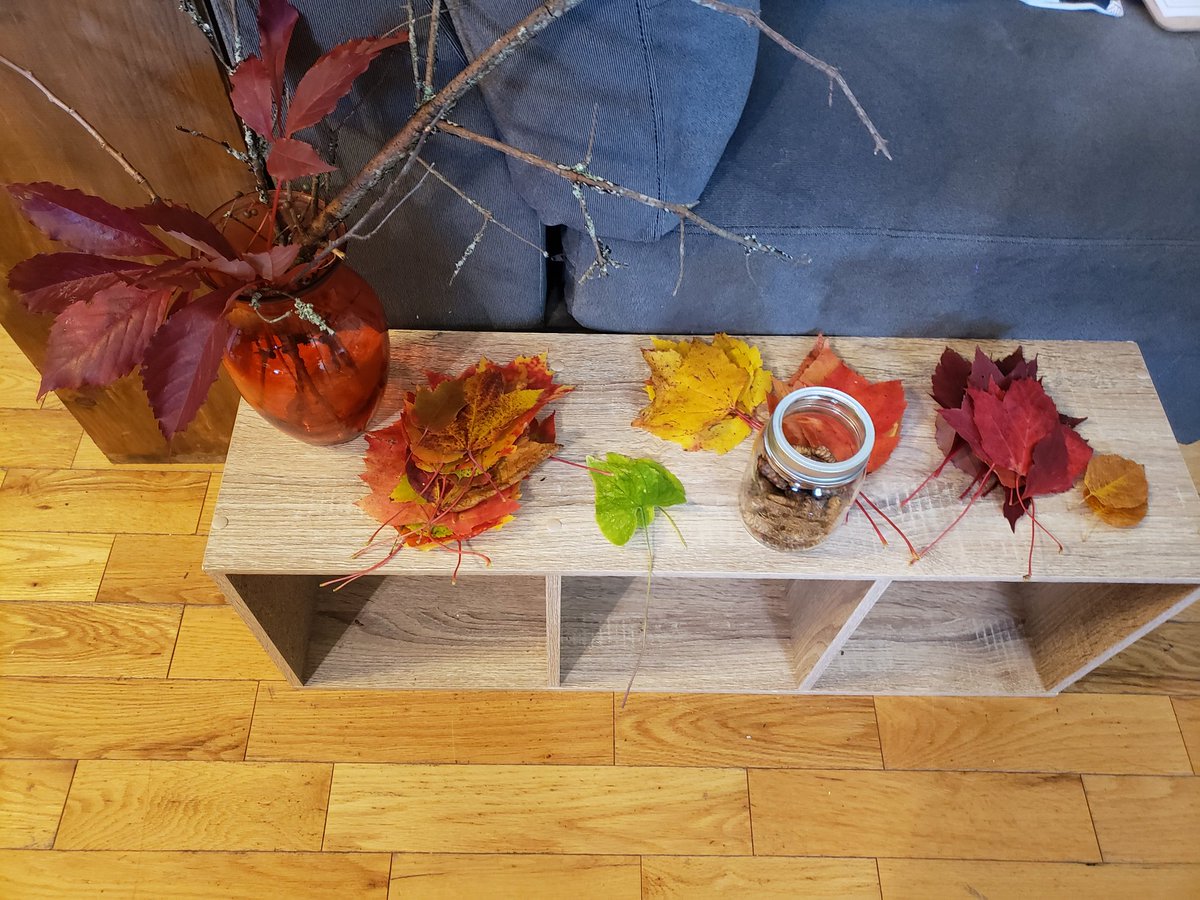 PiesMud's tweet photo. Nature's free Art supplies we collected on a Nature Hunt! #openended #looseparts #ece #mudpiesandbutterflies #reggioinspired #childled #playbased https://t.co/aQtG6wEzJJ