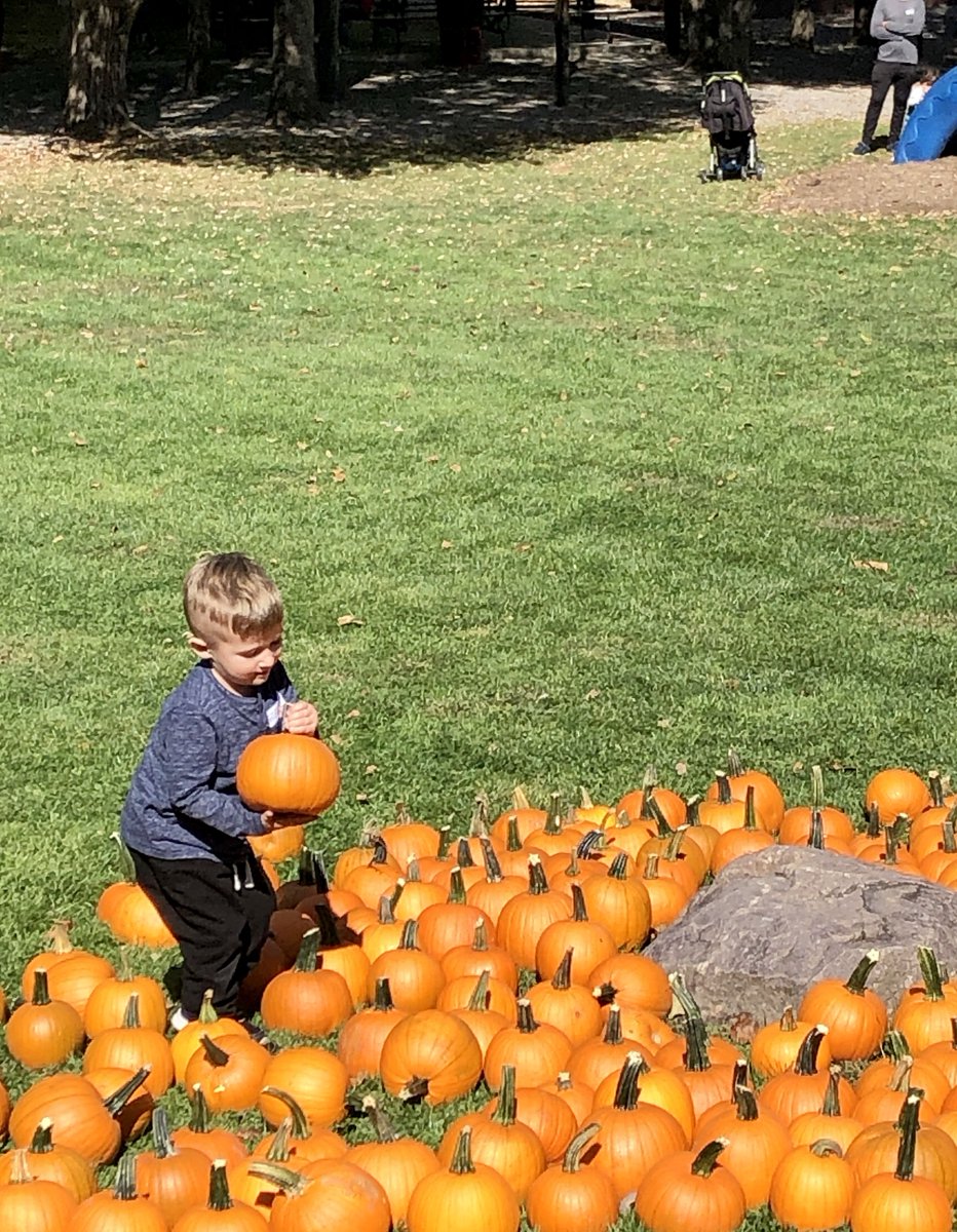 CampRiverbend's tweet photo. We hope you have your pumpkins picked!   Add a little ✨ glitter✨  for some extra fall magic like we did at Family Camp Day! #camping #campriverbend #campriverbendnj https://t.co/EvuYDFWdjF