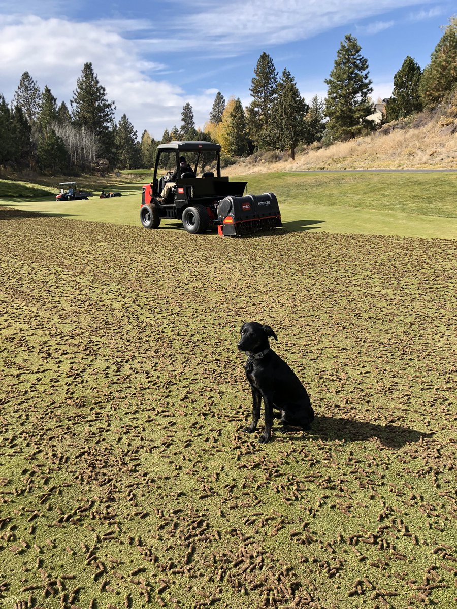 The new Outcross is legit!!! Thanks <a href="/GabeHughesTurf/">Gabe Hughes</a> for the demo!! <a href="/ToroGolf/">Toro Golf</a>