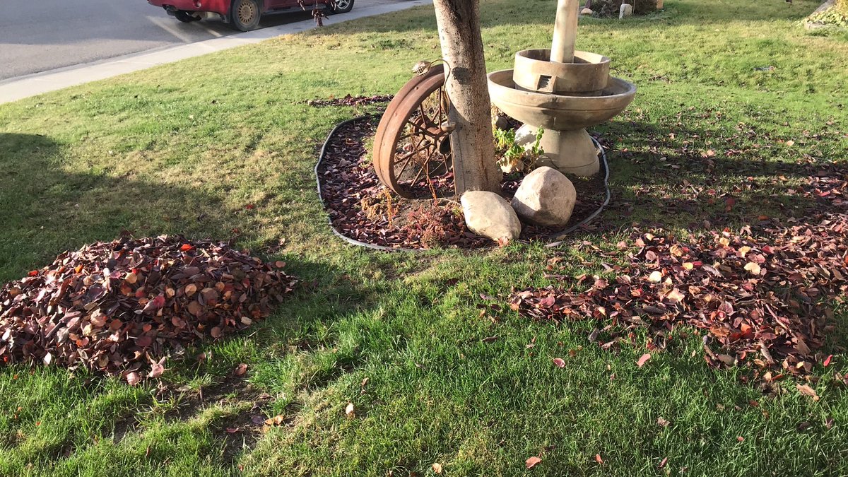 leeskjonsberg's tweet photo. Cheers 
#FallCleanUp https://t.co/UvRGHc9YMX