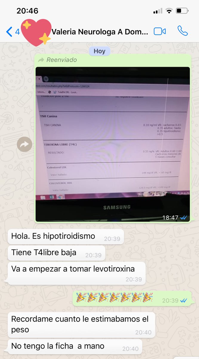 MalenaStein's tweet image. Permiso, vengo a traerles la mejor noticia del día, porque para extinguirnos las ganas de vivir ya están los noticieros.
Athos, el viejo gordo cochino inmundo culón tiene HIPOTIROIDISMO que era la mejor de las opciones🎉💪🏻❤️
Mañana comienza con medicación.
Muchas gracias a todos!