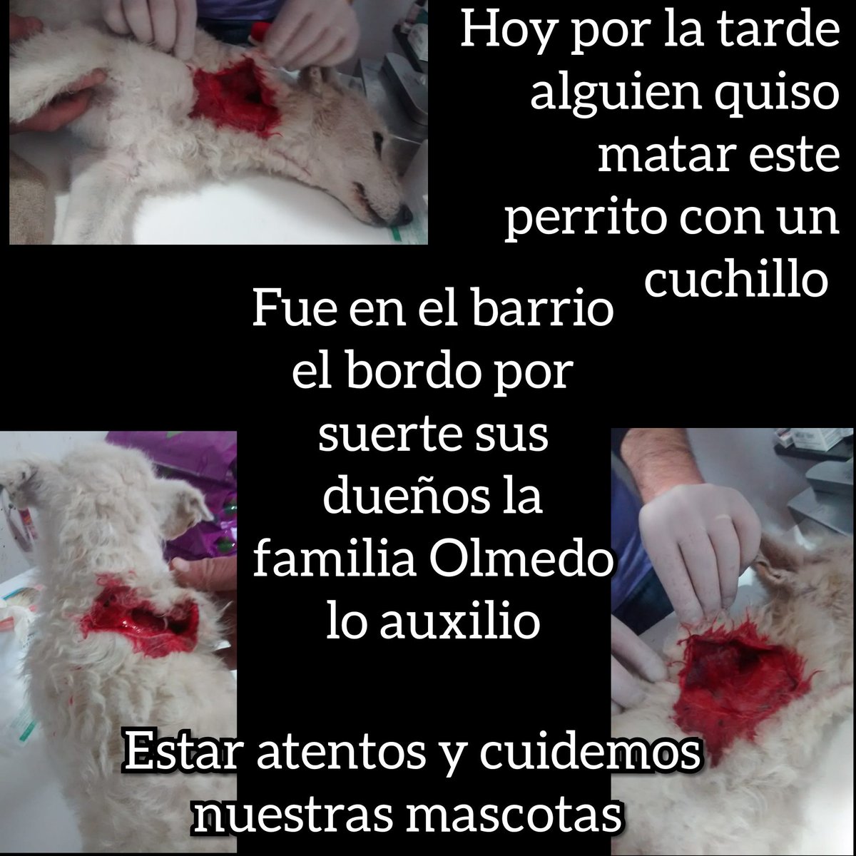 No comprendo a está gente..