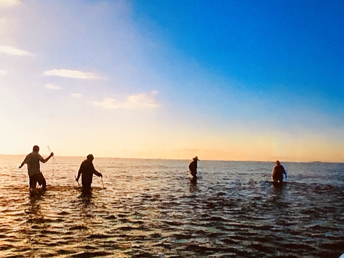 Pêche à l’ourite à l’Ile Rodrigues à quelques heures de l’Ile Maurice.

Ce sont les femmes qui pêchent dès 5h am tous les jours dans ce magnifique lagon.

      Globe cooker.