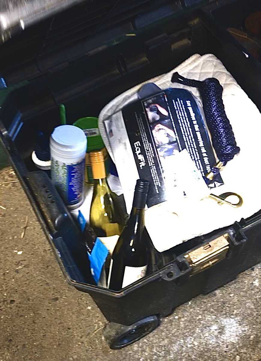 meredith_clayy's tweet photo. the owner of the horse i exercise had these in the trunk when i came the other day https://t.co/eRFqMCNZaM