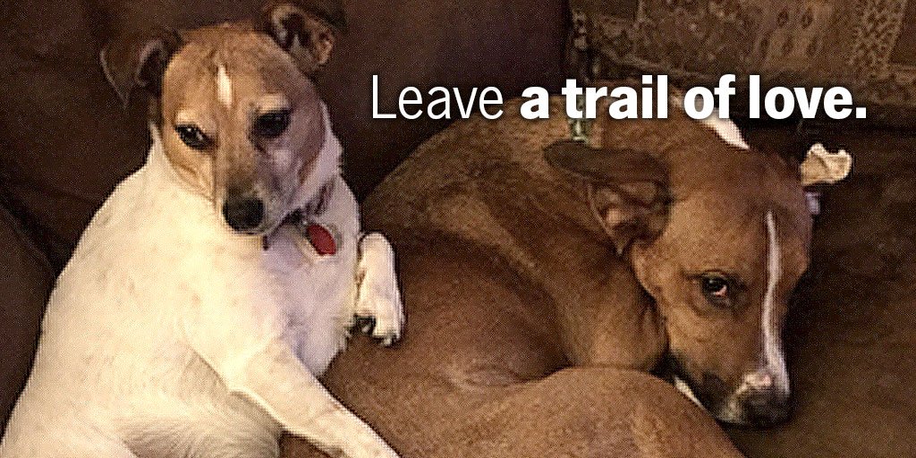 MattOInsurance's tweet image. A great reminder to be kind and spread love. #Motivation