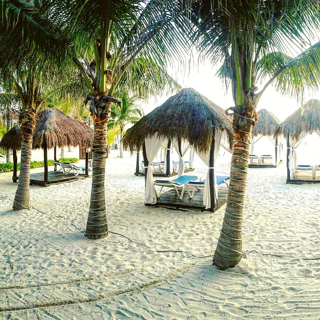 Nada mejor que disfrutar de una vista espectacular, mientras tomas el sol y una rica bebida en tus palapa... #FlamingoCancun #Cancun #Descanso #MejoresVacaciones #Diversión