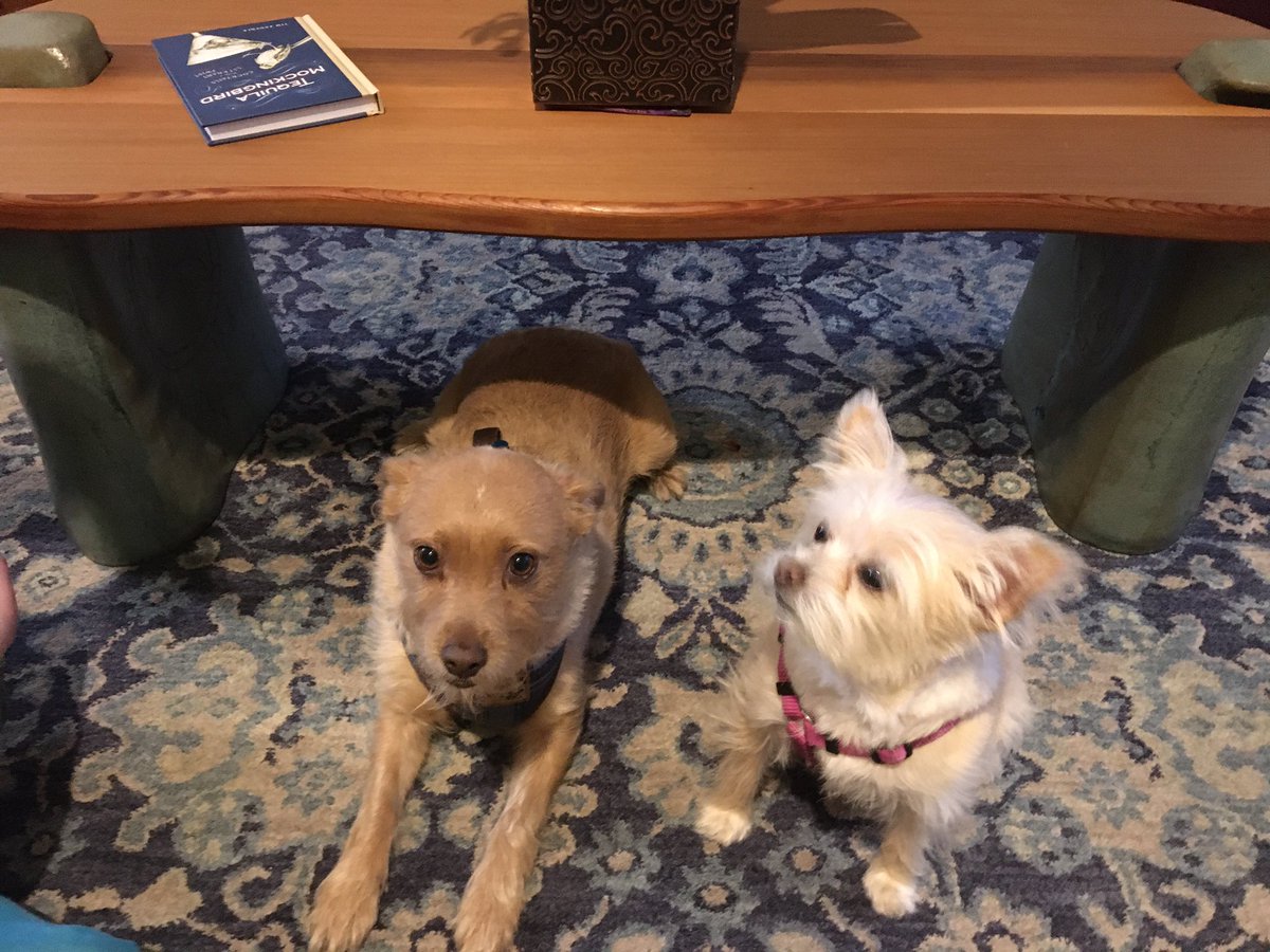 RepDavePaul1's tweet image. Join Gilligan and Skipper and get ready for the Washington ShakeOut. shakeout.org/washington/