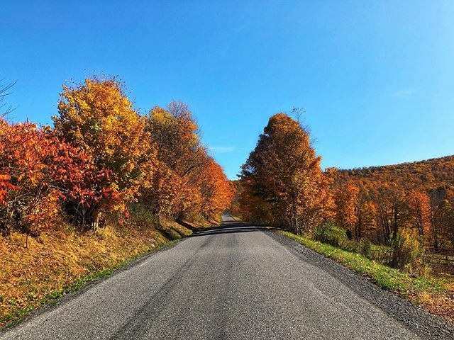 SCAVENGENIUS's tweet photo. 🍁 https://t.co/EUVslR7aId https://t.co/JkcKAM15Hn