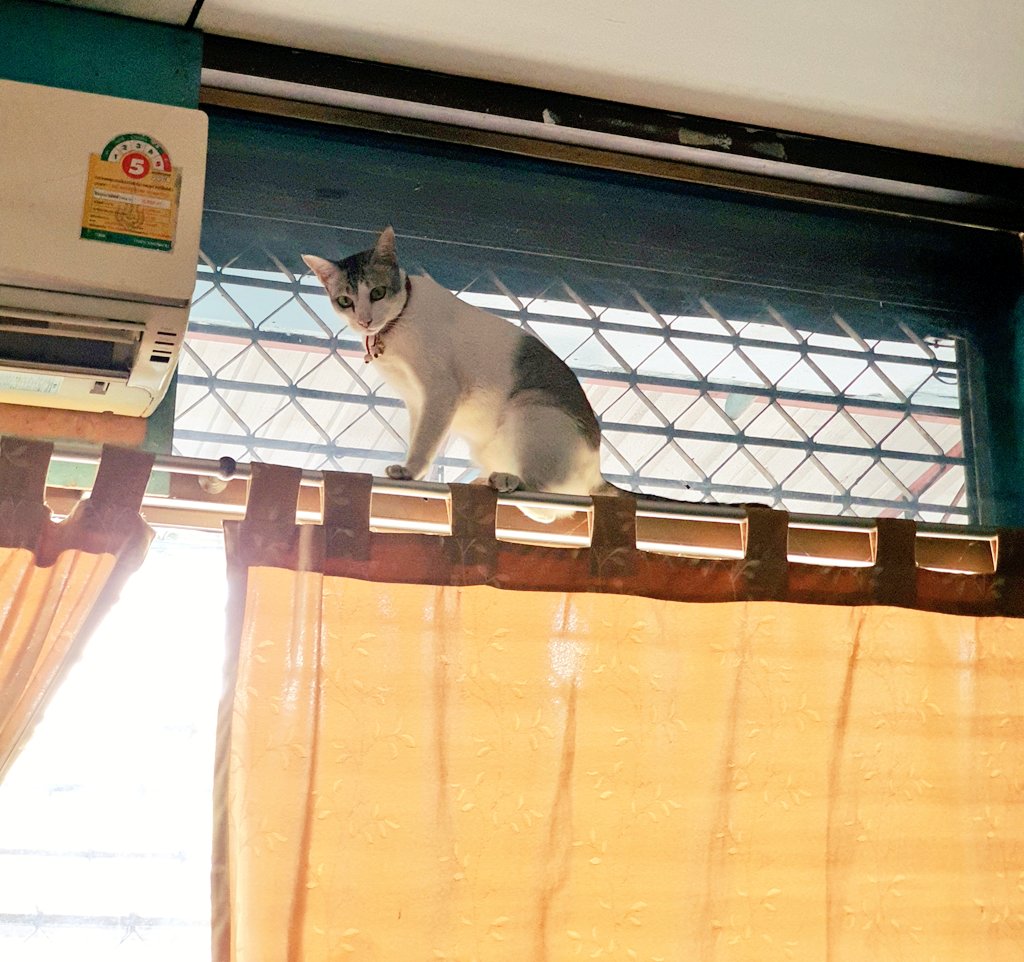 เจ้านายยย