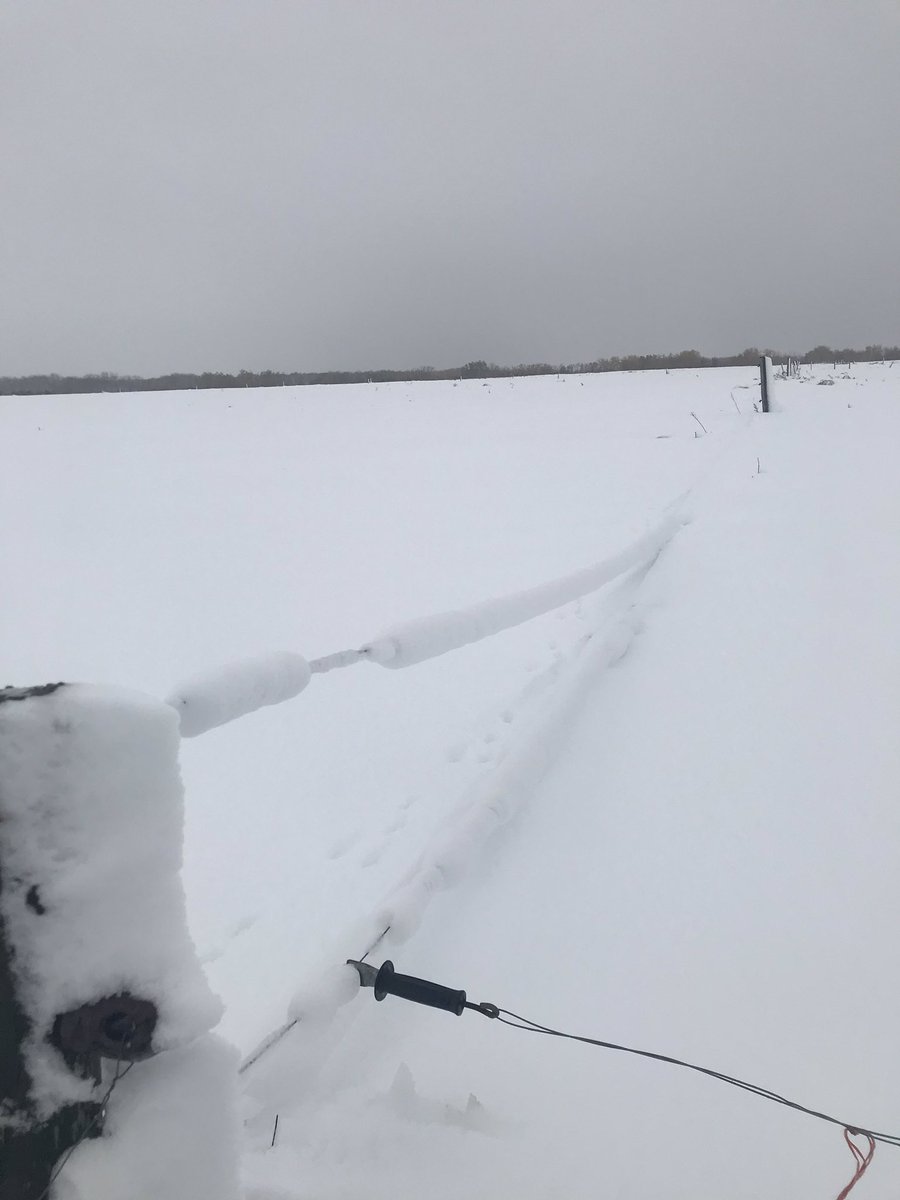 Smileybarbjack's tweet photo. After 111 hours with no Hydro ITS BACK ON! #Thanks to #mbhydro and all the other Utilities for the hard work in unreal conditions!! I will always remember birthday 57!! I never thought I could enjoy washing dishes or laundry so much!! 😂😂 #mbstorm #Thankful https://t.co/I7qYoF8m6K
