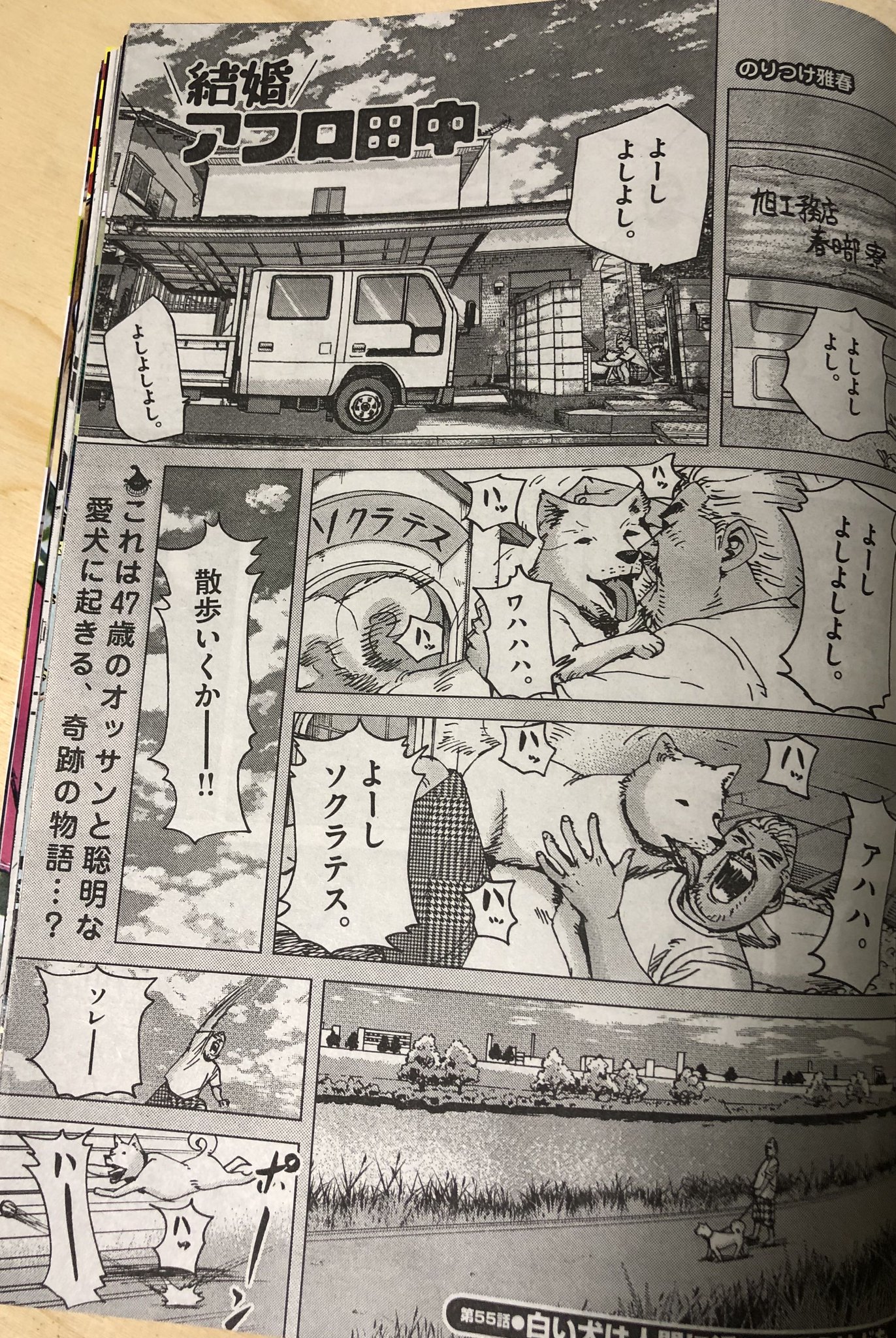 アフロ田中描いてます。 マイホーム④ 発売中 on X: アフロ田中描いてます。 マイホーム④ 発売中 on X: