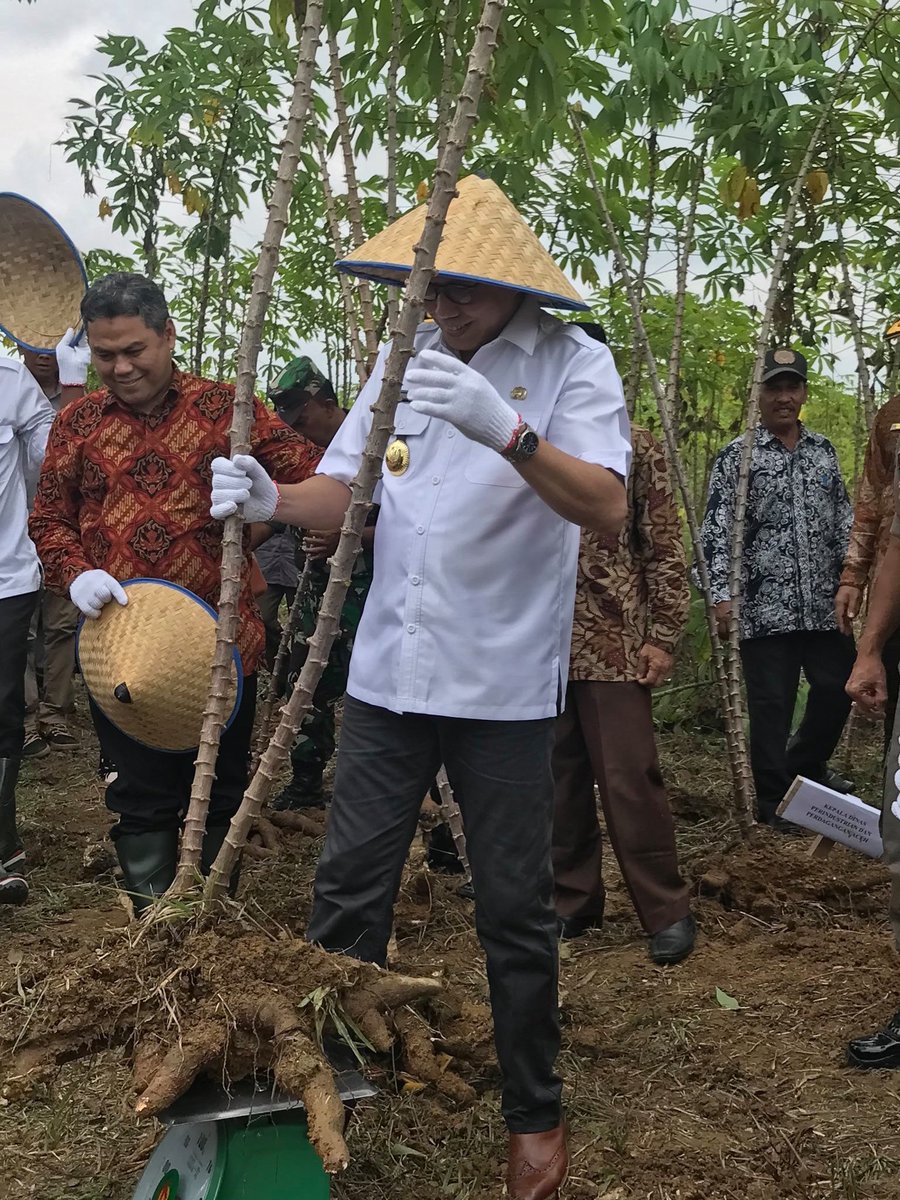 "Handaknyo Bisuak Iduik Waang Sarupo Jo Sifat Batang Ubi Nak, dima tacampak dapek tumbuah.( Hendaknya kehidupan Kamu Nanti Sama dengan Sifat Hidupnya Ubi Kayu ya Nak , dimana saja dapat hidup) <a href="/niriansyah/">n. IRIANSYAH</a> Sukses terus guruku