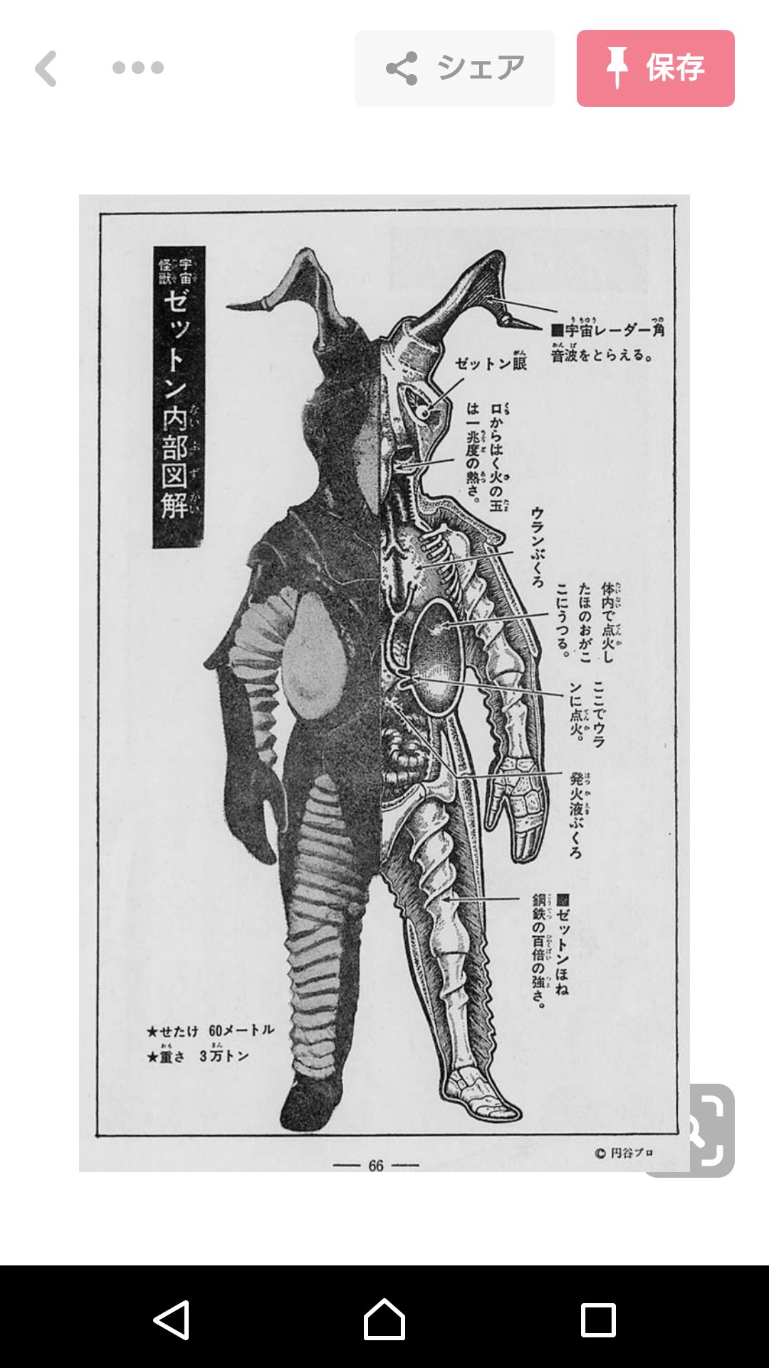 御kaz 在 Twitter 上 負けるべくして負けたね ゼットンの解剖図を見たらさ 口から吹いた火の温度 1兆 ちなみにスペシウム光線 50万 ゼットンの骨 鋼鉄の100倍 ちなみにウルトラマンの骨は 人間の5000倍www ゼットン身長60m 体重3万 ウルトラマン