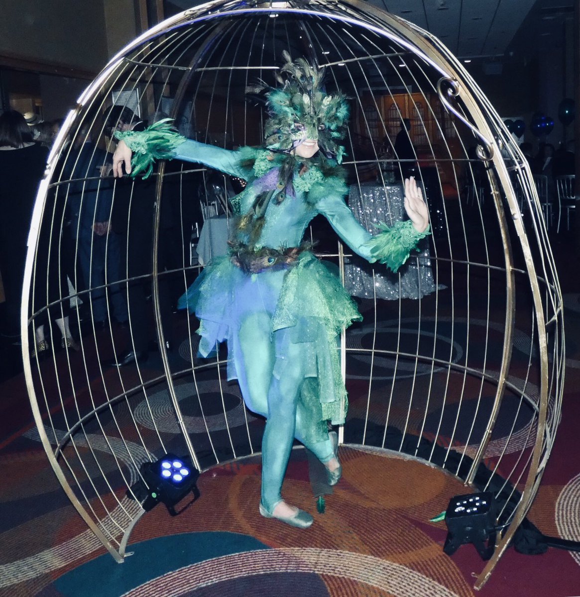 Always a pleasure to support #northeast #charities <a href="/pathways4all/">Pathways4all</a>  Ball <a href="/GrandGosPark/">The Grand Gosforth Park Newcastle</a> <a href="/jceventsltd/">JC Events</a> #encoredanceentertainment #dancer #meetandgreet 🦚#Newcastle #chairtyball #charity #peacock #corporateevents