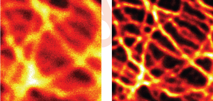 Do you think that raw microscopy images are just the starting point, and more is hidden behind them? If your answer is yes, apply for a #PostDoc position in our lab
<a href="/IITalk/">IIT</a>. Please RT #superresolution #BrightEyes_ERC #singlephotonmicroscopy @NEUBIAS_COST

iit.it/careers/openin…